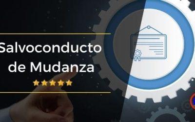 Cómo Obtener el Salvoconducto para Mudanzas en Chile