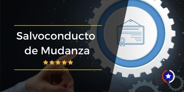 Cómo Obtener el Salvoconducto para Mudanzas en Chile