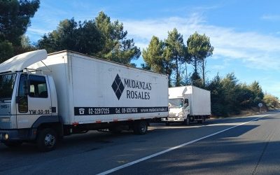 Mudanzas Eficientes: Evita 5 Errores Comunes para un Cambio Exitoso con la Ayuda de Profesionales