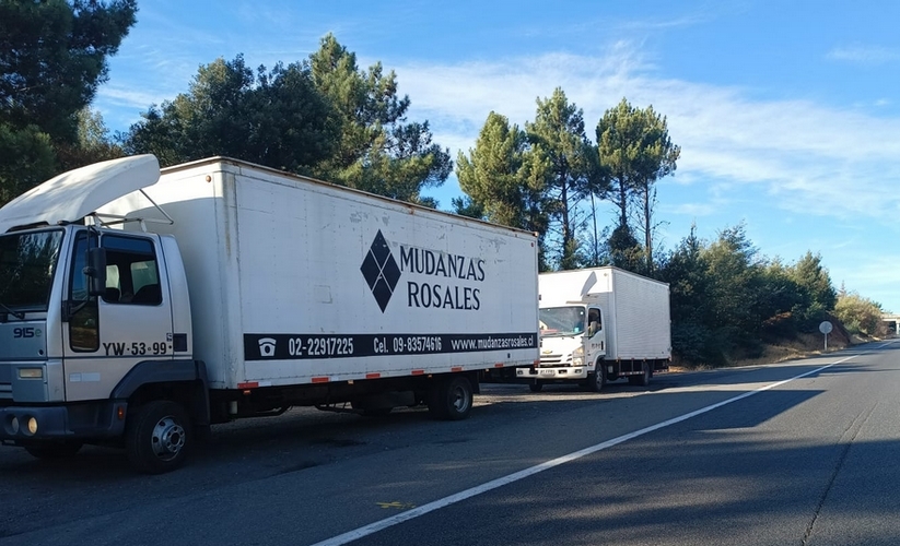 Mudanzas Eficientes: Evita 5 Errores Comunes para un Cambio Exitoso con la Ayuda de Profesionales
